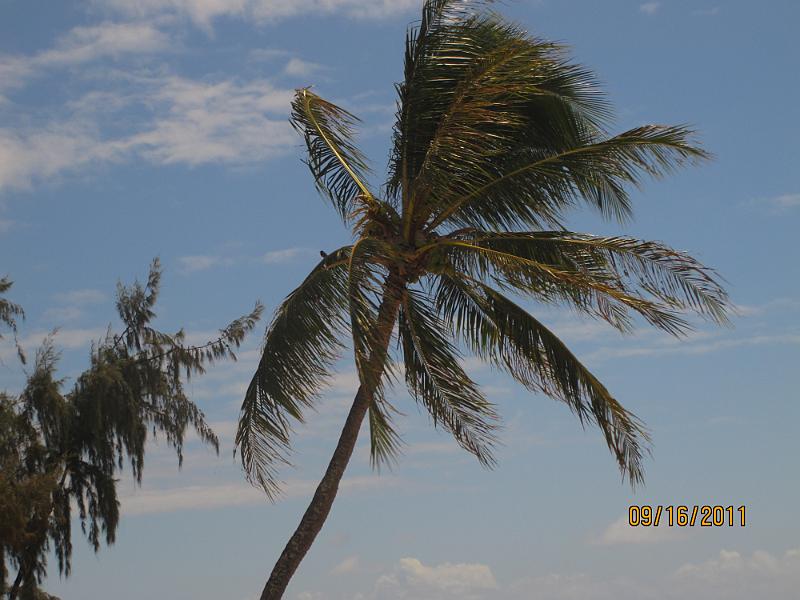 Picture 050